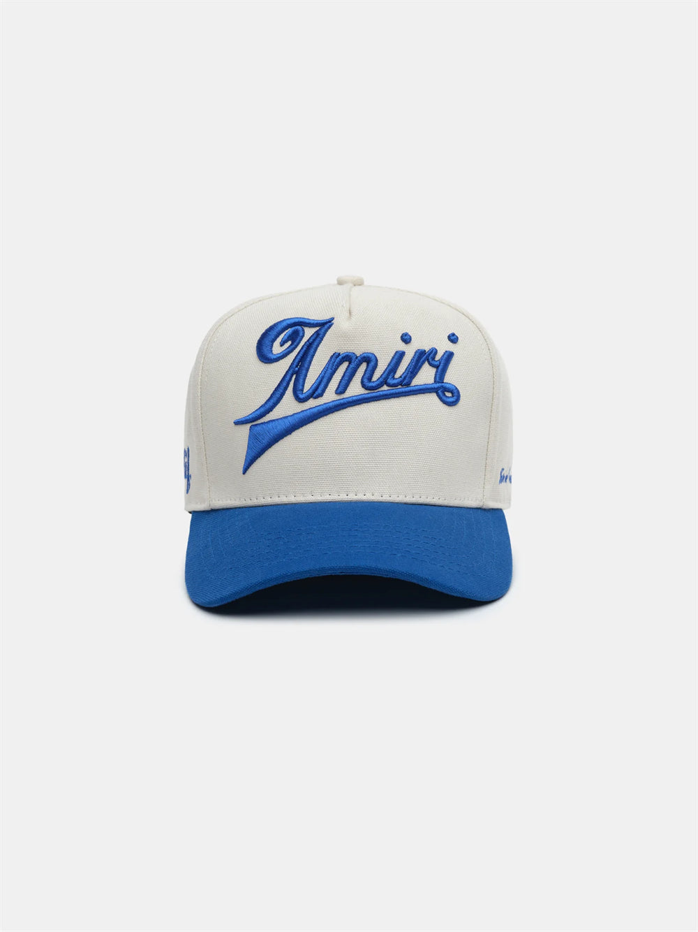 Amiri Mesh Trucker Hat – Snapback Cap in Green & Blue